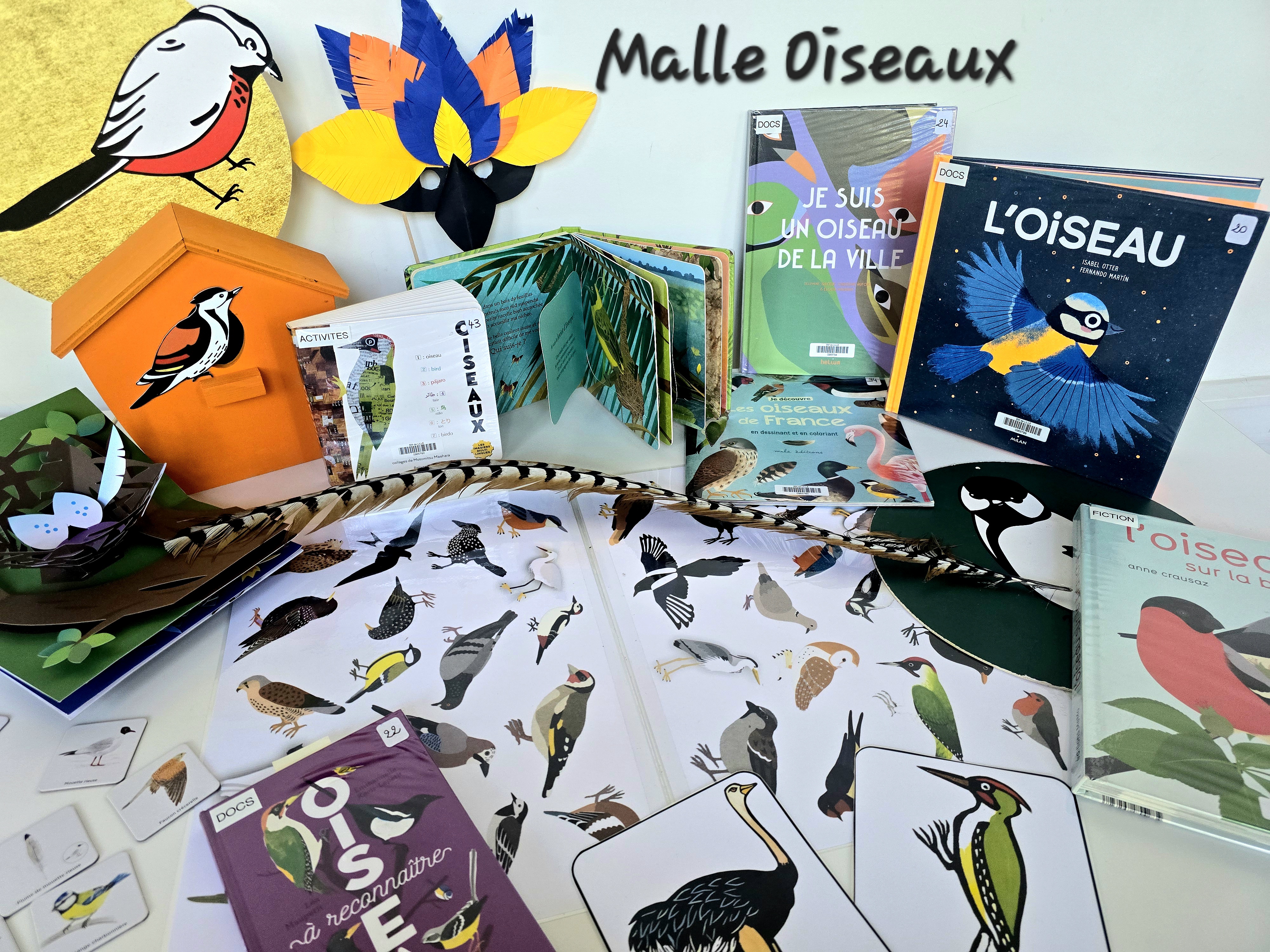Malle oiseaux
